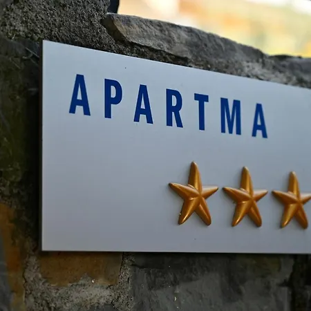 Sea Star Koper
